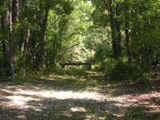 cross country schooling northern New Jersey