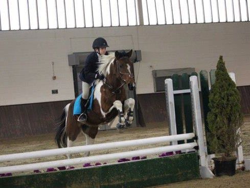 Horse Show