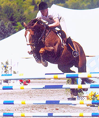 schooling show northern New Jersey