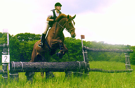 Glen Eagle, imported Irish Sport Horse, eventer, showjumper and hunter