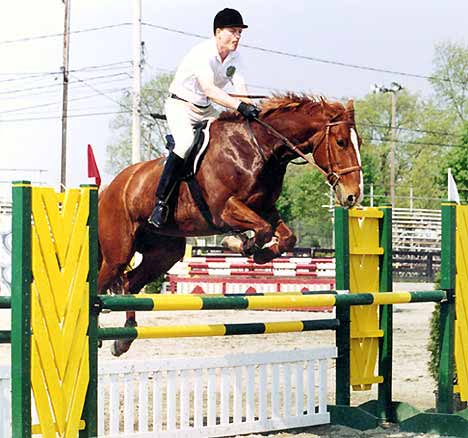 Glen Eagle, imported Irish Sport Horse, eventer, showjumper and hunter