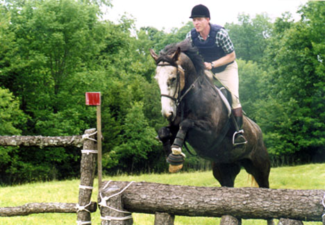 Kilkenny Diamond, imported Irish Sport Horse, hunter and showjumper