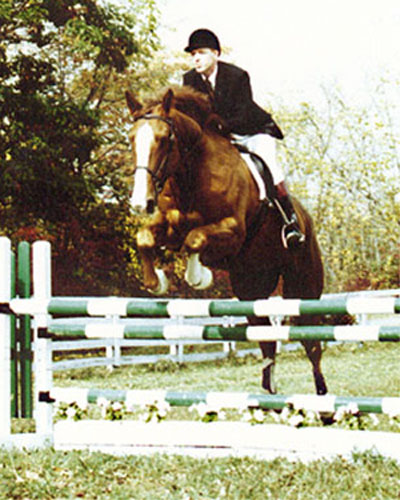 King Cruising, Irish Sport Horse, show jumper