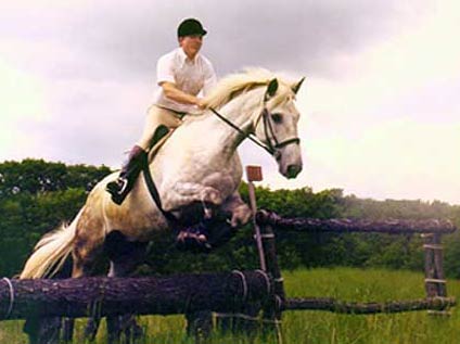 Devon Horse Show