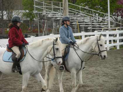 horse shows and training northern New Jersey