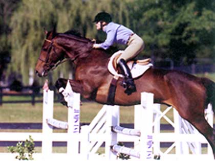 show jumping rated show HITS Saugerties